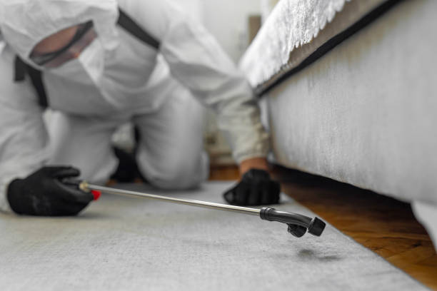 Professional Pest Control technician working in Meigs County County, OH